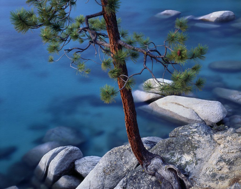 LB Neutral polarizer