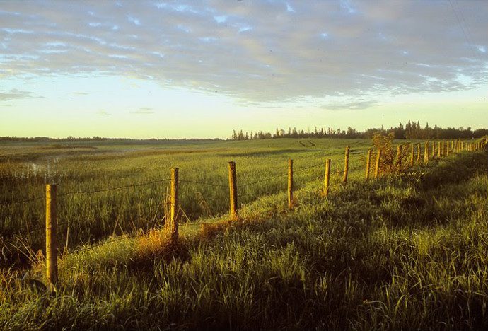 LB Warming polarizer