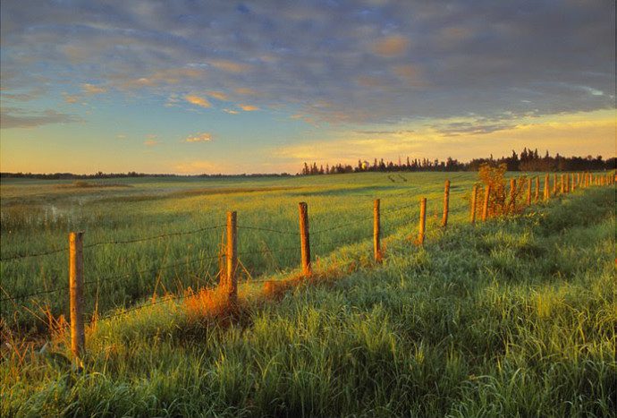 LB Warming polarizer