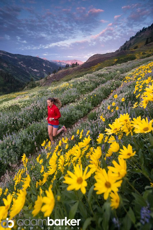 Adam barker - My approach to wildflower photography05