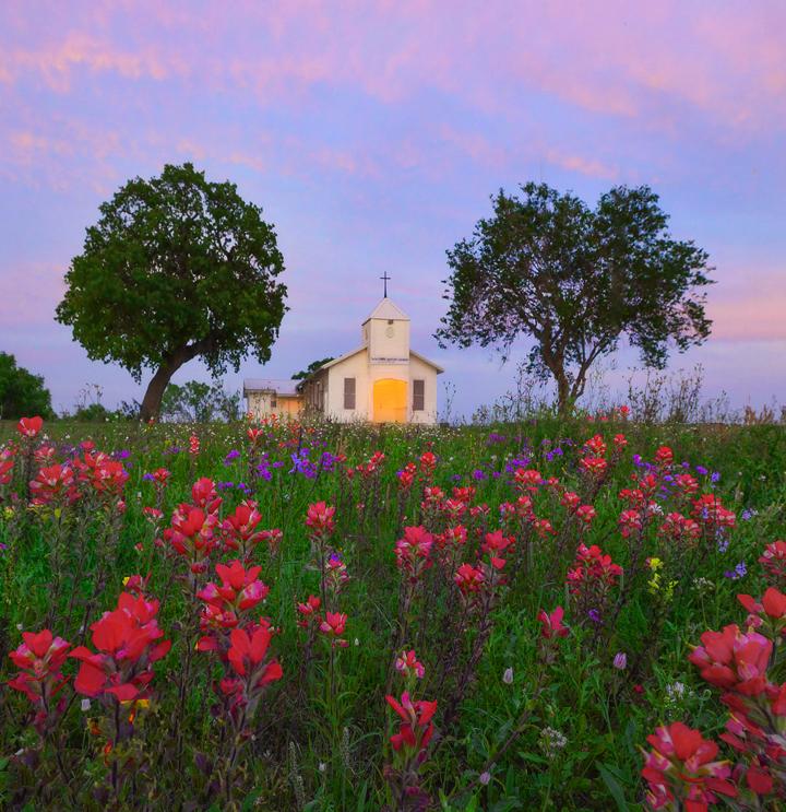 Images from around Texas during wildflower spring season
