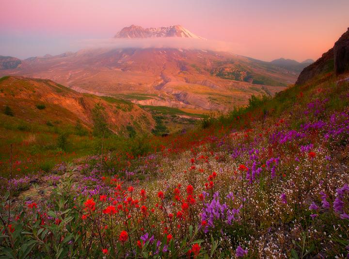 Shooting Wildflowers With The LB ColorCombo_3