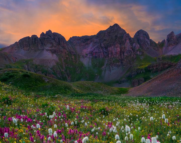 Shooting Wildflowers With The LB ColorCombo_7