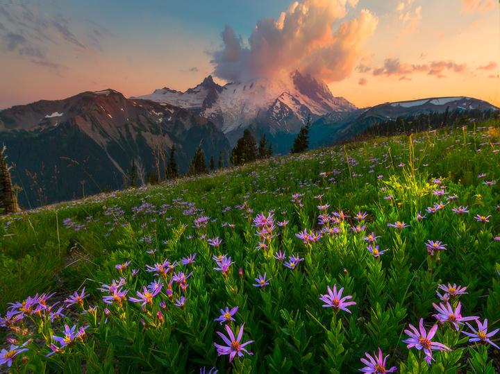 Shooting Wildflowers With The LB ColorCombo_8
