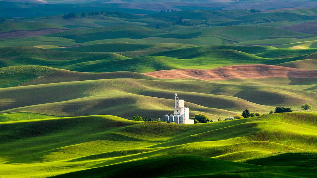 Palouse Light01