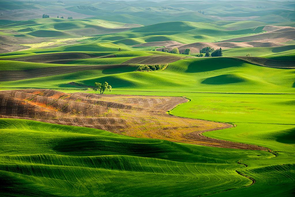 Palouse Light02