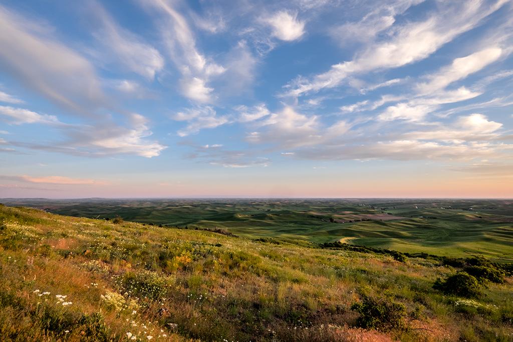 Palouse Light03
