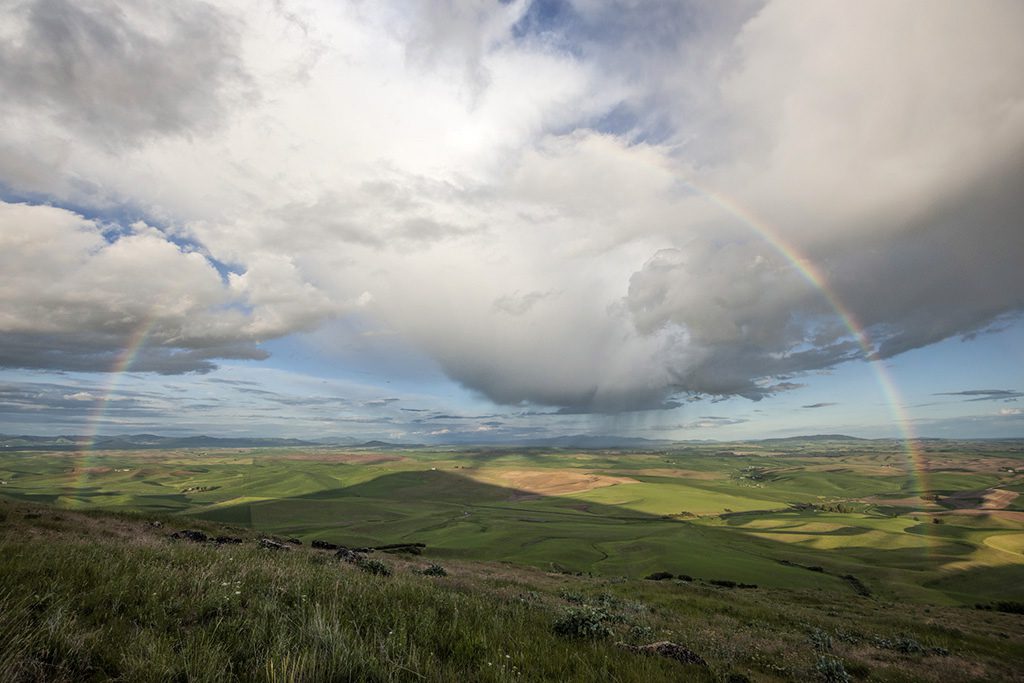 Palouse Light05