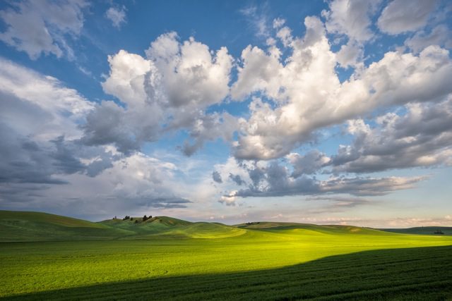 Palouse Light07