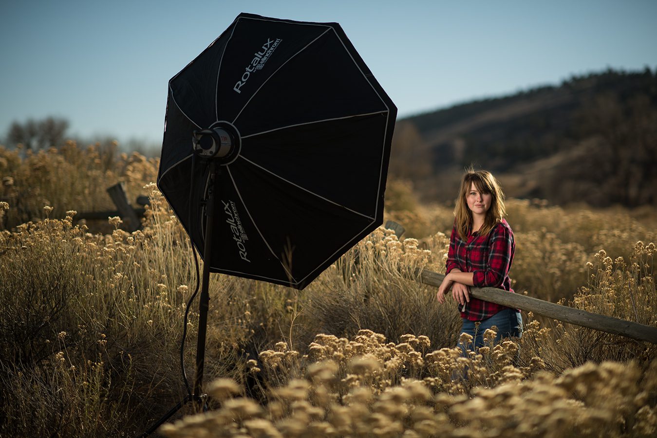 Fort Collins, CO. portrait