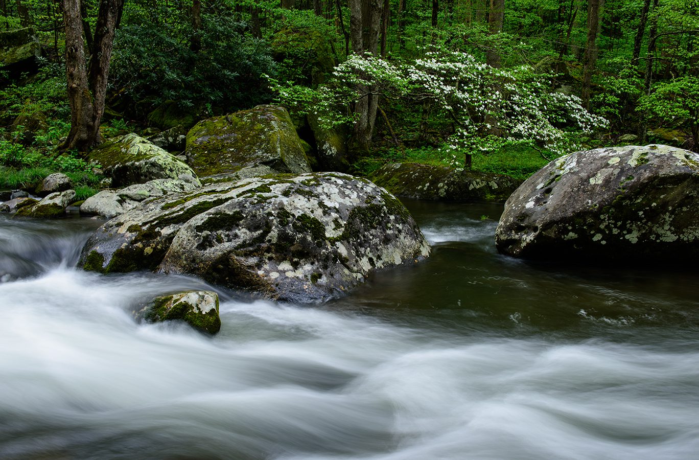 Townsend, TN. Great Smoky Mountain National Park.
