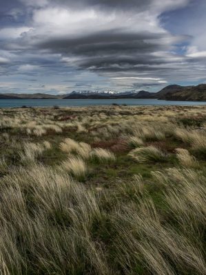 Without Polarizer